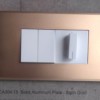 Solid Aluminium Plate - Satin Gold