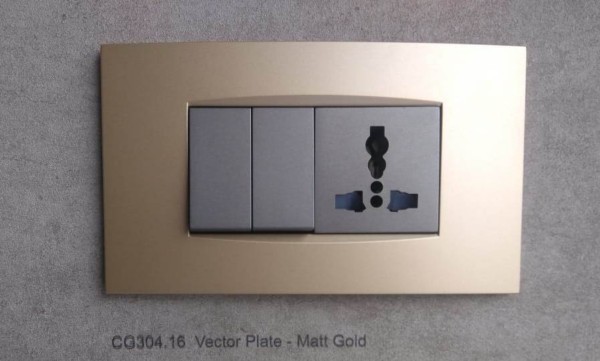 Vector Plate - Matt Gold